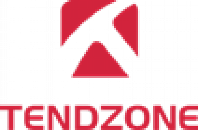 Компания Tendzone (видеоконференция)